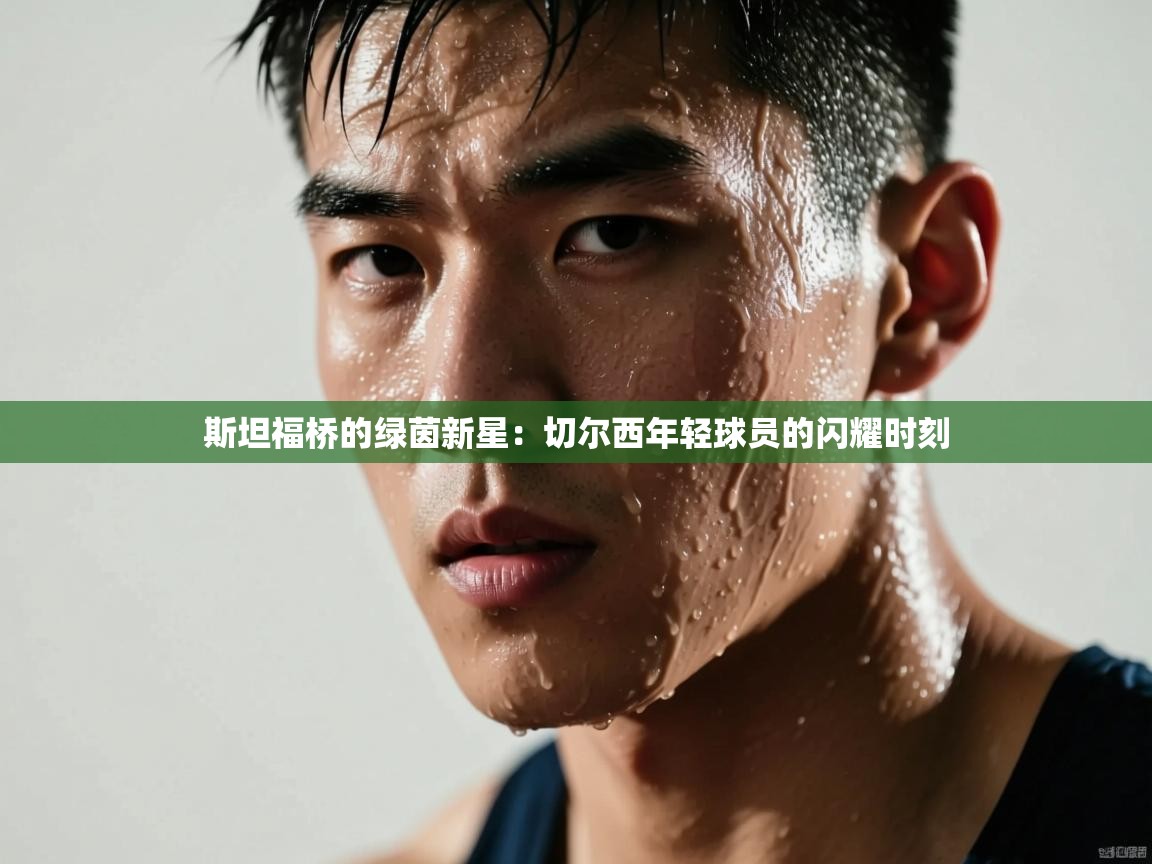 斯坦福桥的绿茵新星:切尔西年轻球员的闪耀时刻 第2张